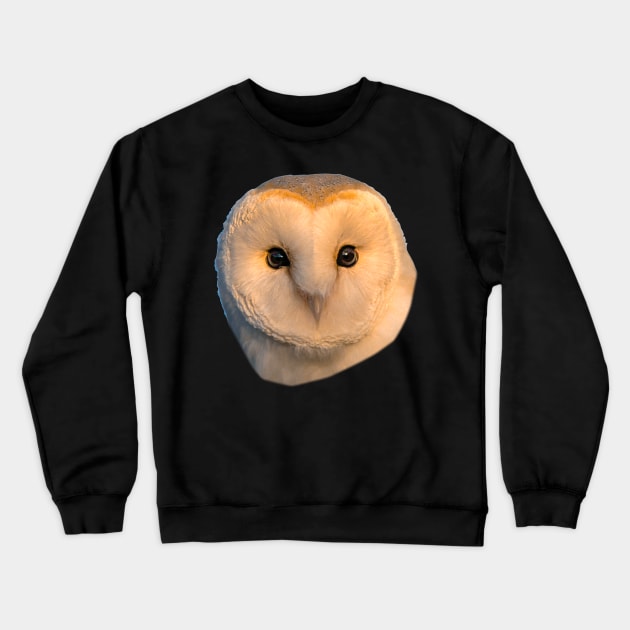 Barn Owl Face Crewneck Sweatshirt by dalyndigaital2@gmail.com